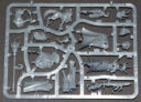 Review Skavenflut 23