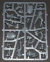 Review Skavenflut 29