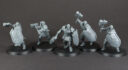Review Skavenflut 44