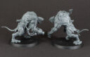 Review Skavenflut 63