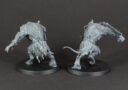 Review Skavenflut 64