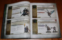 Review Skavenflut 7