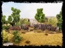 WargamesAtlantic10mmSamurai2