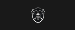 Privateer News Banner 1000x400