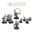 Chosen Shroudfall Unboxing 2