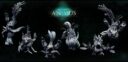 MMM Natures Animus 17