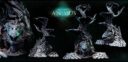 MMM Natures Animus 5