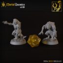 TF Warriors And Wizards 22