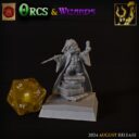 TF Wizards & Orcs 13