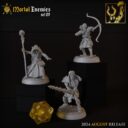TF Wizards & Orcs 21