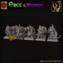 TF Wizards & Orcs 9