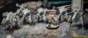 TLF Corsairs Preview 5