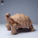 ADM Galapagosinseln 10