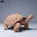 ADM Galapagosinseln 11
