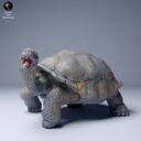 ADM Galapagosinseln 12