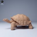 ADM Galapagosinseln 13