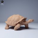 ADM Galapagosinseln 14