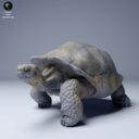 ADM Galapagosinseln 15