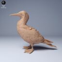 ADM Galapagosinseln 16
