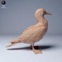 ADM Galapagosinseln 17