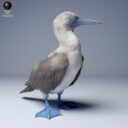 ADM Galapagosinseln 18