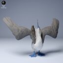 ADM Galapagosinseln 21