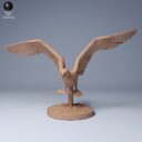 ADM Galapagosinseln 22
