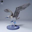 ADM Galapagosinseln 24