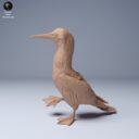 ADM Galapagosinseln 25