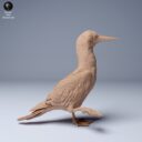 ADM Galapagosinseln 26