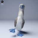 ADM Galapagosinseln 27