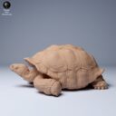 ADM Galapagosinseln 7