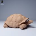 ADM Galapagosinseln 8