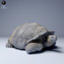 ADM Galapagosinseln 9