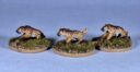 Khurasan Miniatures Neuheiten 02