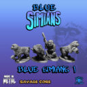 Lucid Bluesimians1