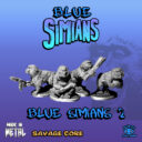 Lucid Bluesimians2