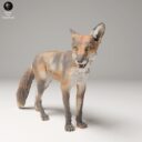 ADM Urban Wildlife 10