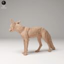 ADM Urban Wildlife 11