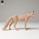 ADM Urban Wildlife 12