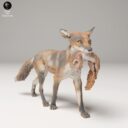 ADM Urban Wildlife 13