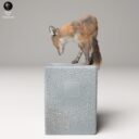 ADM Urban Wildlife 16