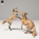 ADM Urban Wildlife 19