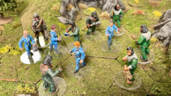 Sally 4th Ape World Kickstarter 1