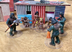 Sally 4th Ape World Kickstarter 3