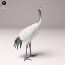 ADM Japanese Wildlife 4