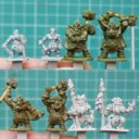 Argatoria Sizecomparison