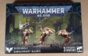 Unboxing Blood Angels Boxen 29