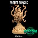 TDTL Return To The Mushroom Bayou + Cult Of The Pale One Pt. 1 18