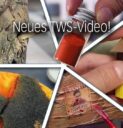TWS Youtube Hobby Spaß